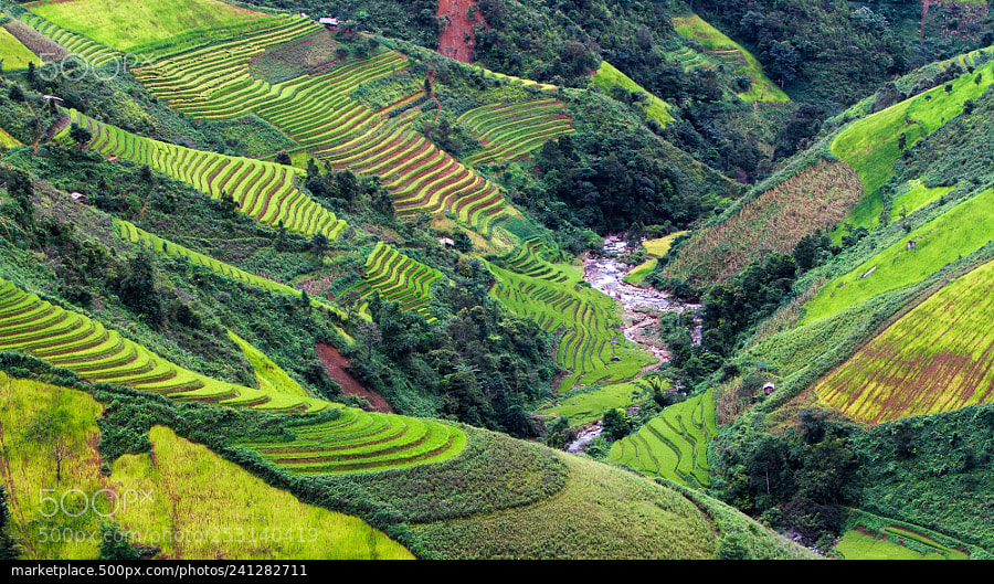 Canon EOS 7D sample photo. 500px photo id: 241282711 photography