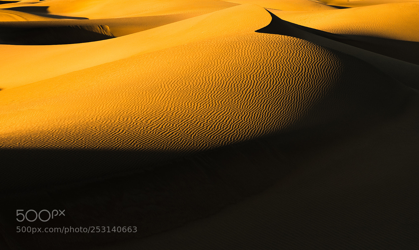 Fujifilm X-T20 sample photo. Golden sand photography