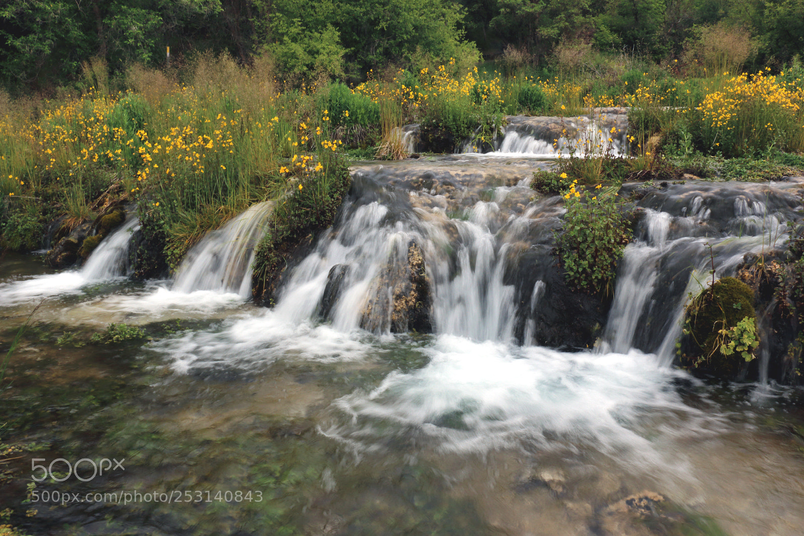 Canon EOS 70D sample photo. Caacade springs photography