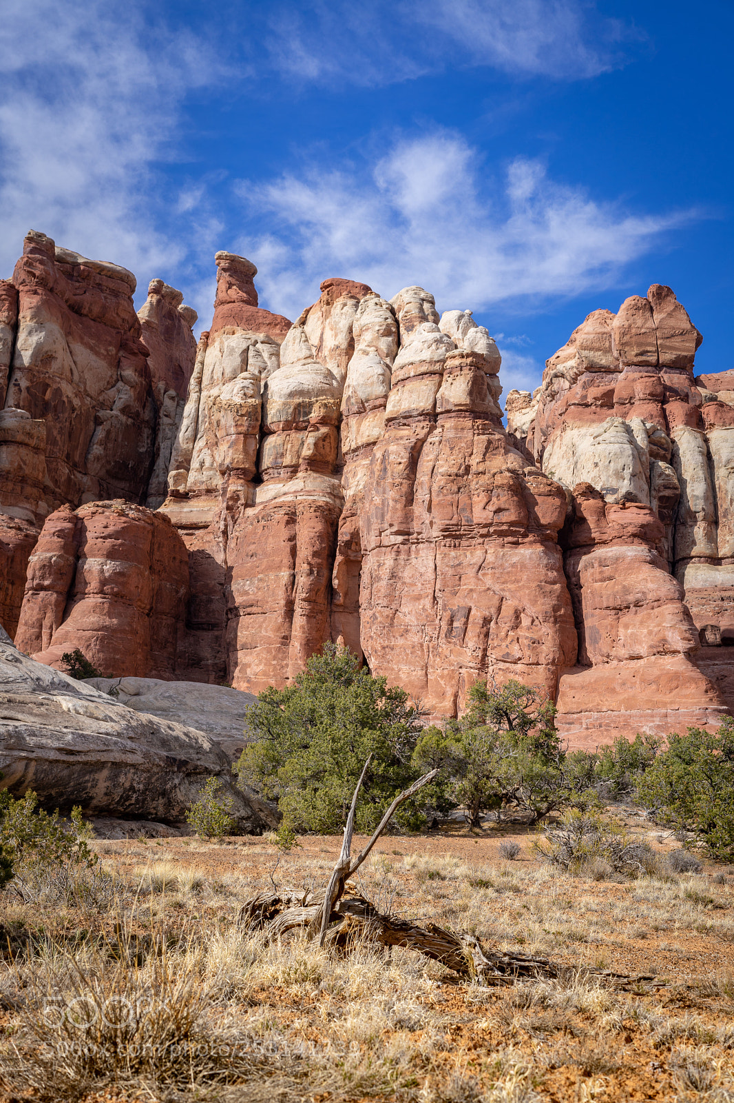 Sony a7 II sample photo. Needles photography