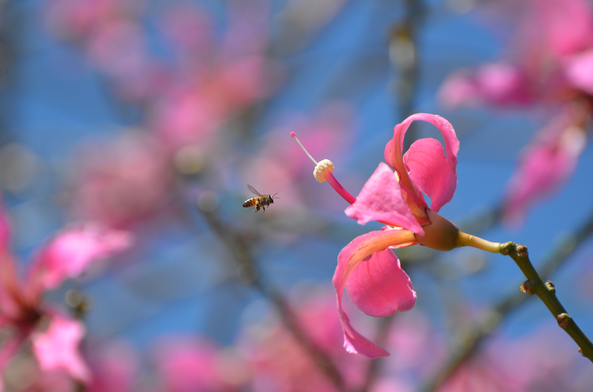 Nikon D5100 sample photo. Next to you photography