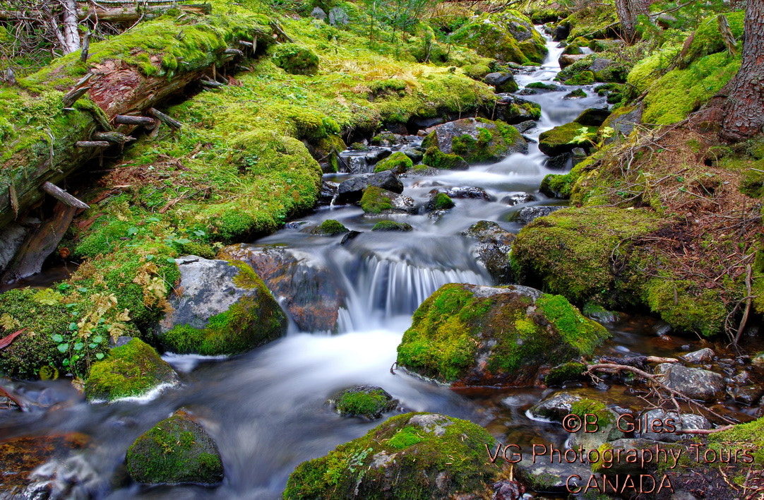 Pentax K-3 sample photo. Rocky mountain pure photography