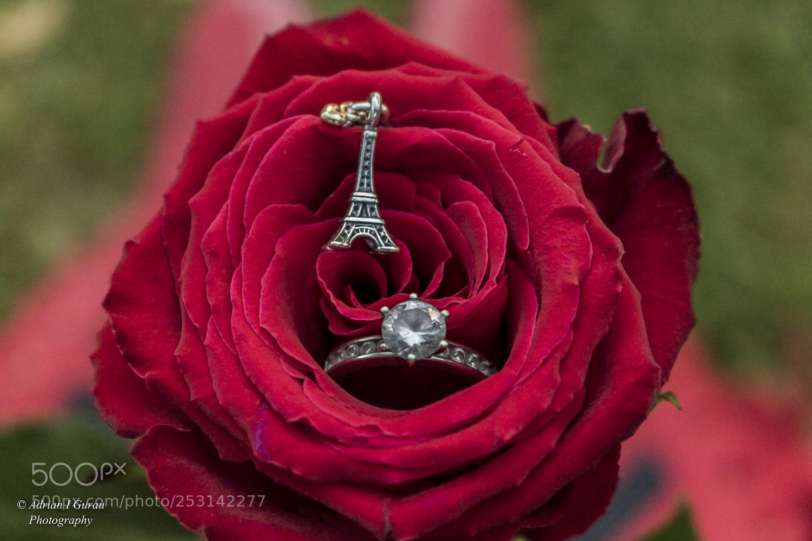 Canon EOS 700D (EOS Rebel T5i / EOS Kiss X7i) sample photo. The proposal photography