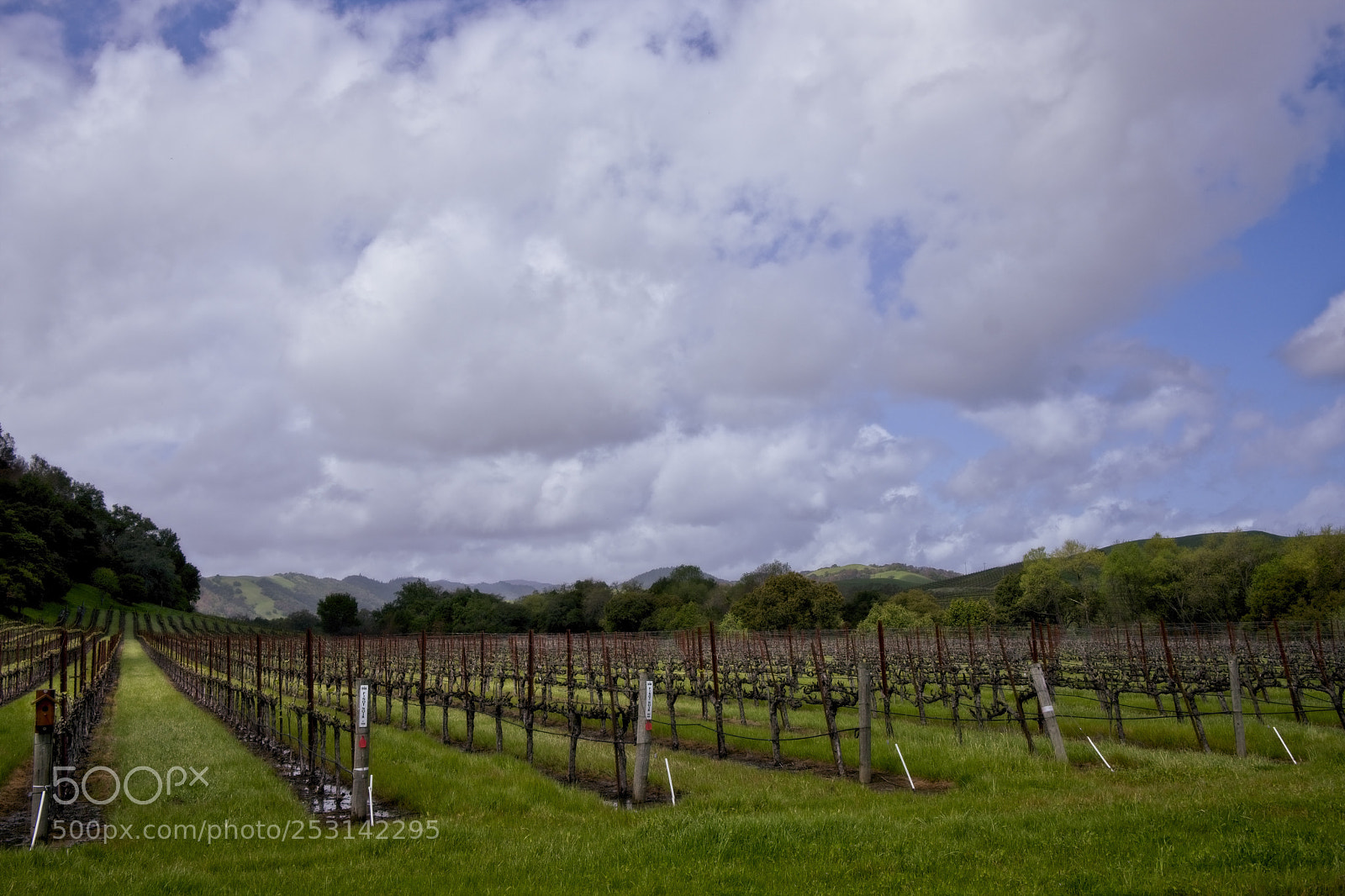 Fujifilm X-T2 sample photo. Heaven & earth photography