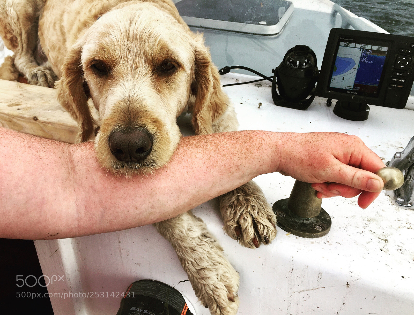 Apple iPhone 6 sample photo. Charlie boat photography