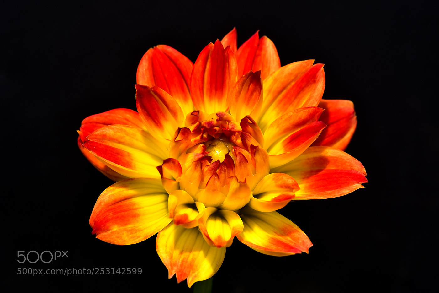 Nikon D7200 sample photo. 11.04.2018 - 5 photography
