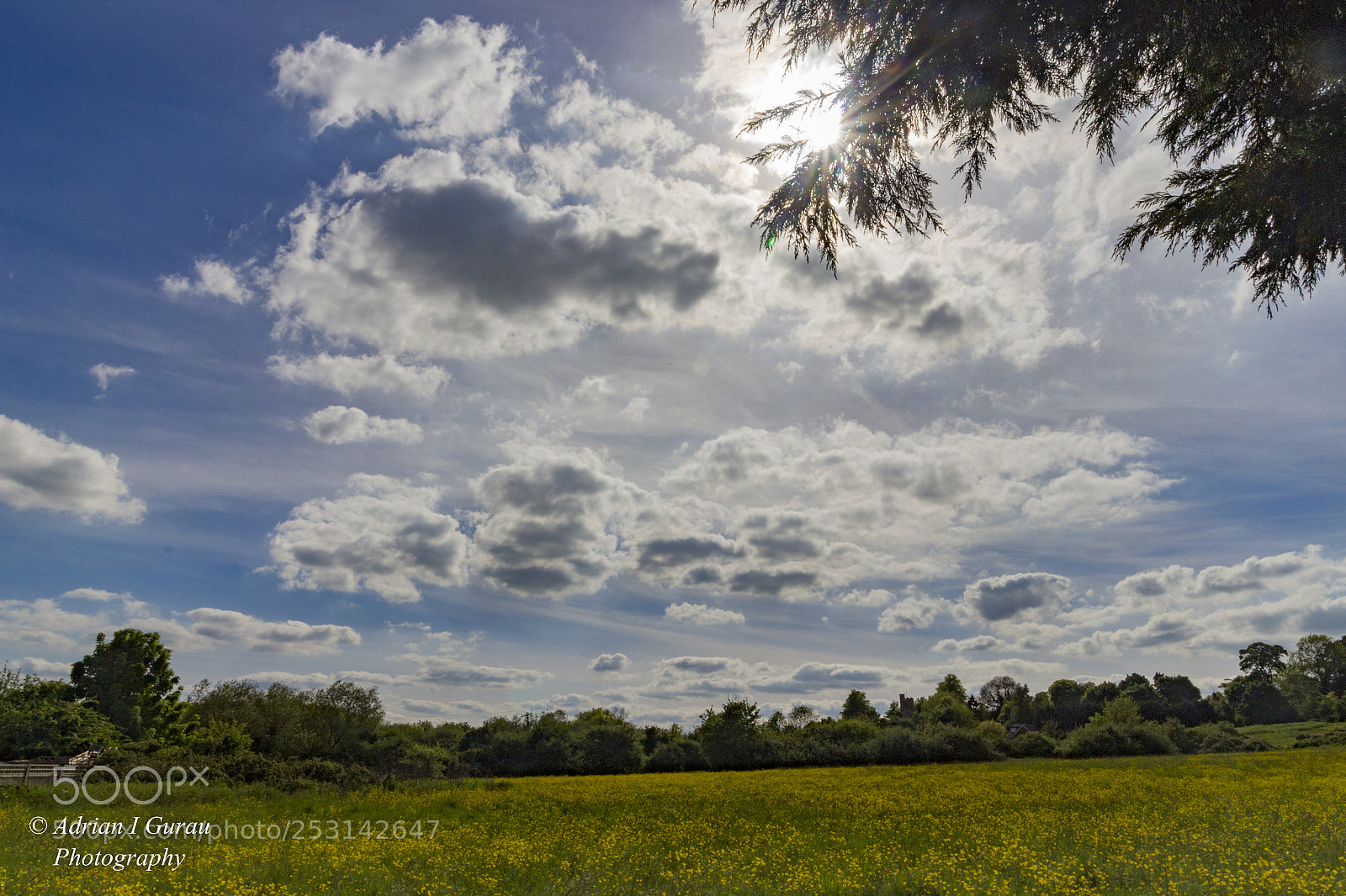 Canon EOS 700D (EOS Rebel T5i / EOS Kiss X7i) sample photo. Field photography