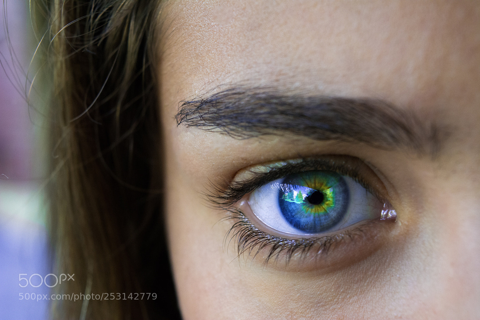 Nikon D5200 sample photo. Iris  photography