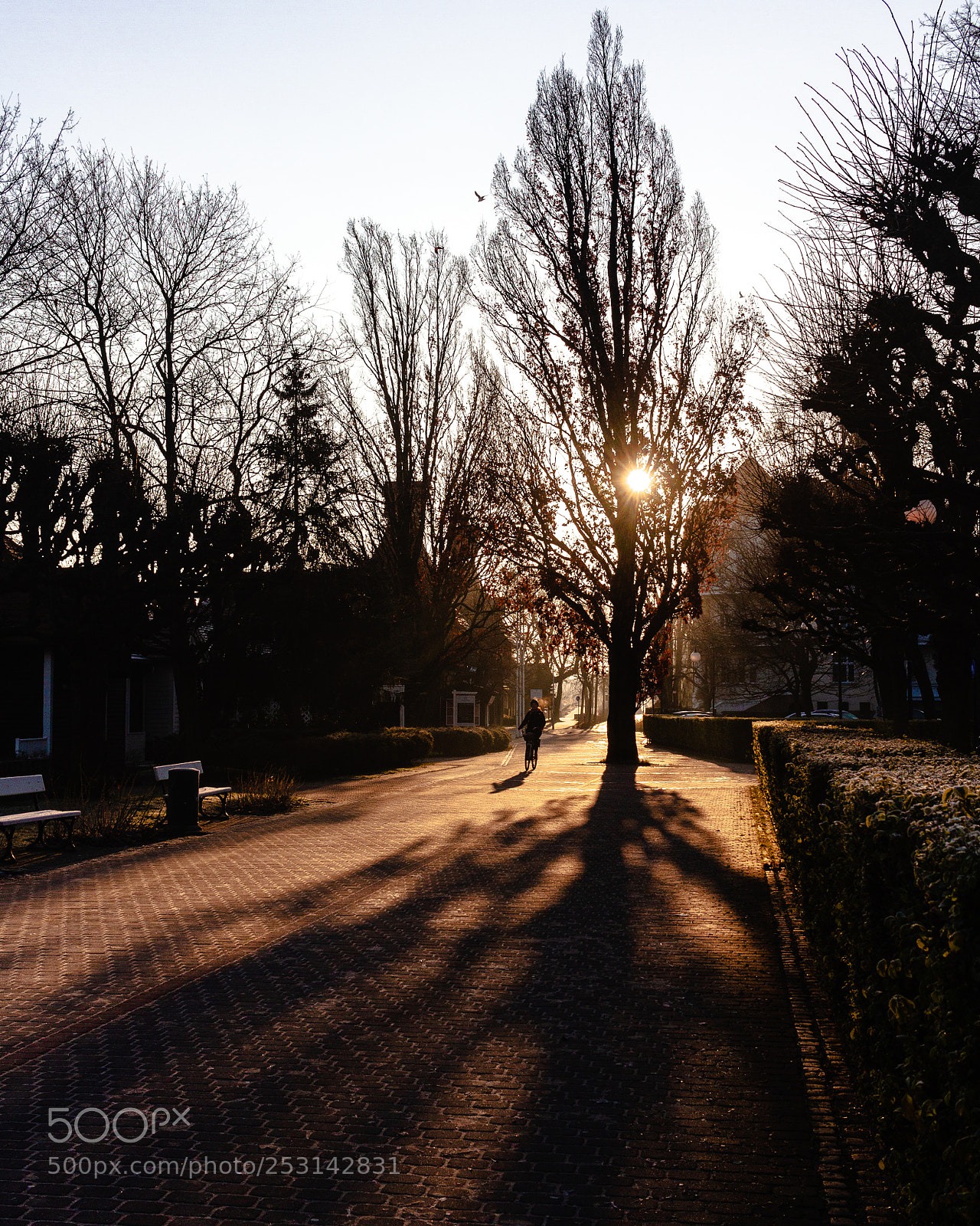 Canon EOS 7D sample photo. Winter in sopot photography