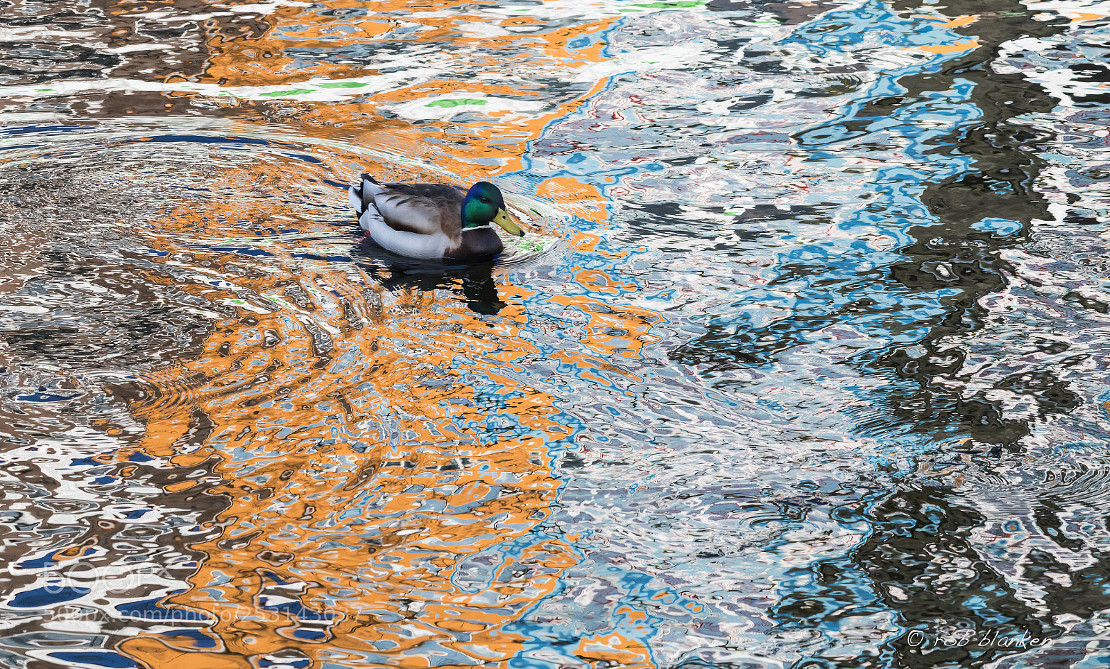 Nikon D850 sample photo. Reflection (3) photography