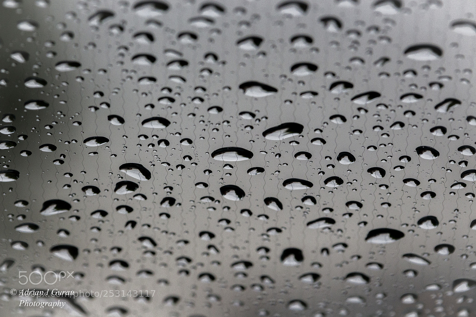 Canon EOS 700D (EOS Rebel T5i / EOS Kiss X7i) sample photo. Rain photography