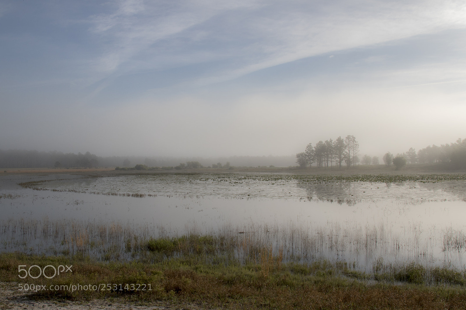 Canon EOS 7D Mark II sample photo. Morning fog photography