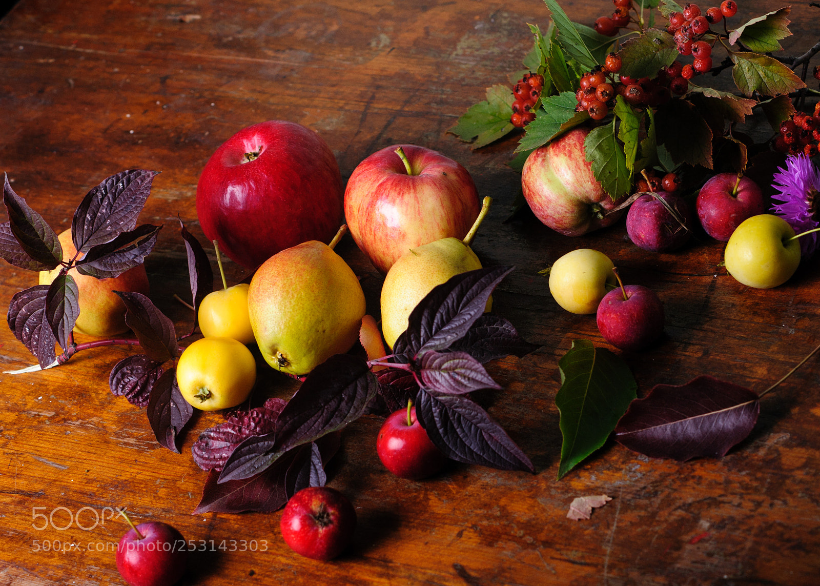 Nikon D700 sample photo. Осень photography