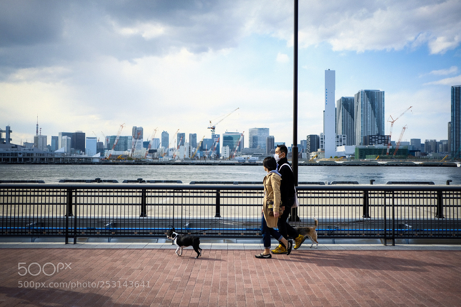 Fujifilm X-Pro2 sample photo. Tokyo bay life photography