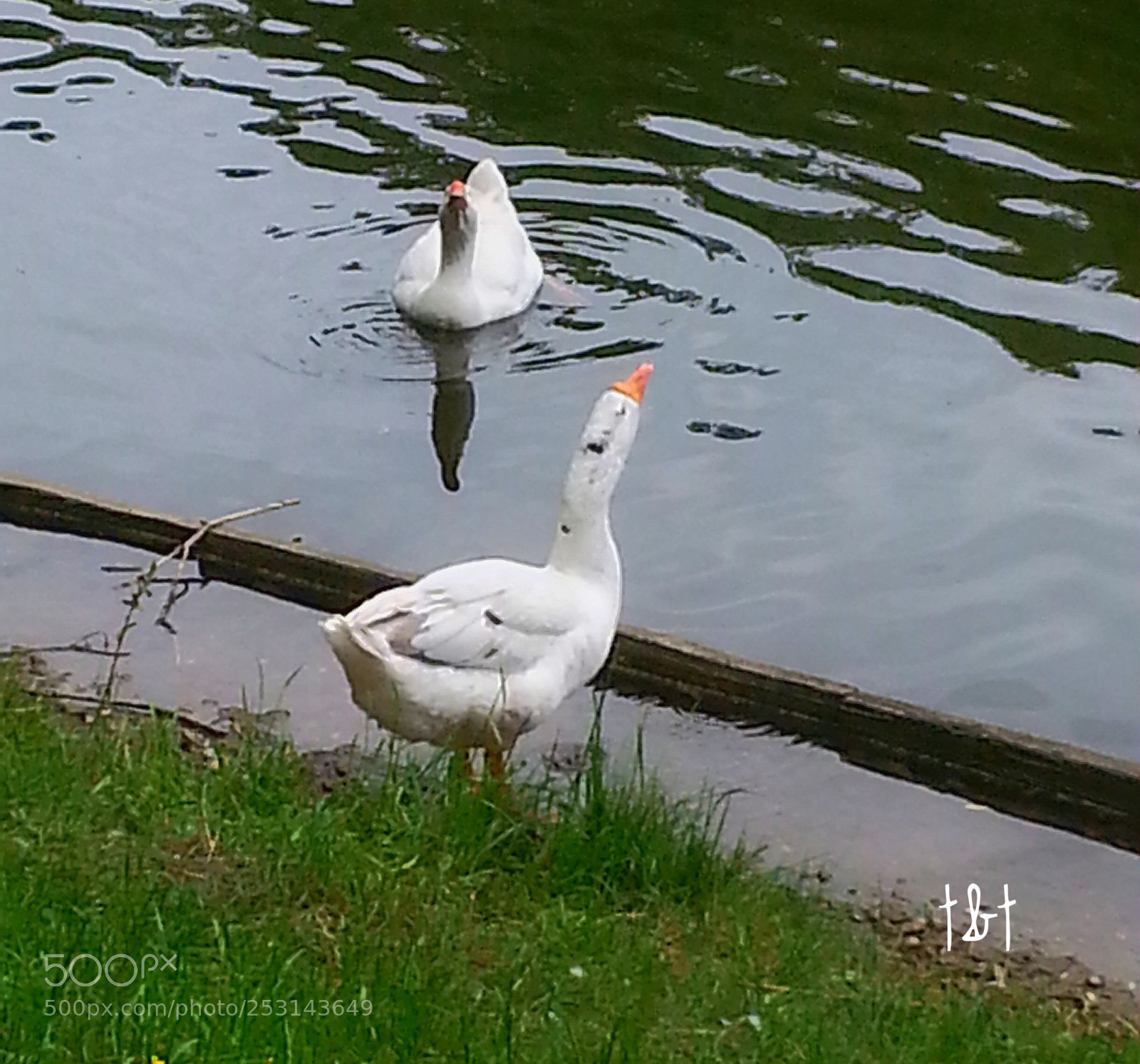 Samsung Galaxy S3 sample photo. Untitled photography