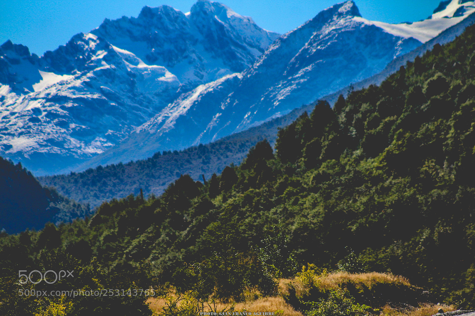 Canon EOS 1200D (EOS Rebel T5 / EOS Kiss X70 / EOS Hi) sample photo. Carretera austral photography