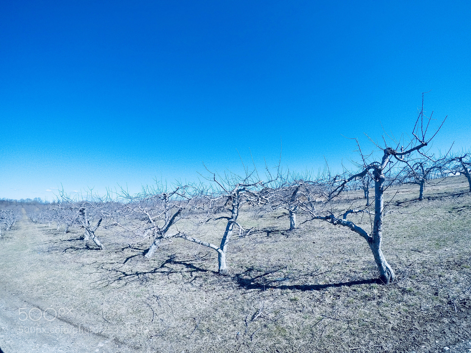 GoPro Hero5 Black sample photo. Almost there photography