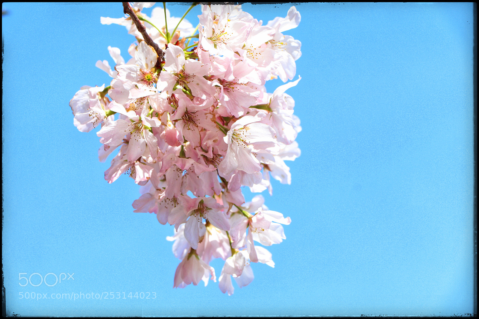 Canon EOS 80D sample photo. Untitled photography