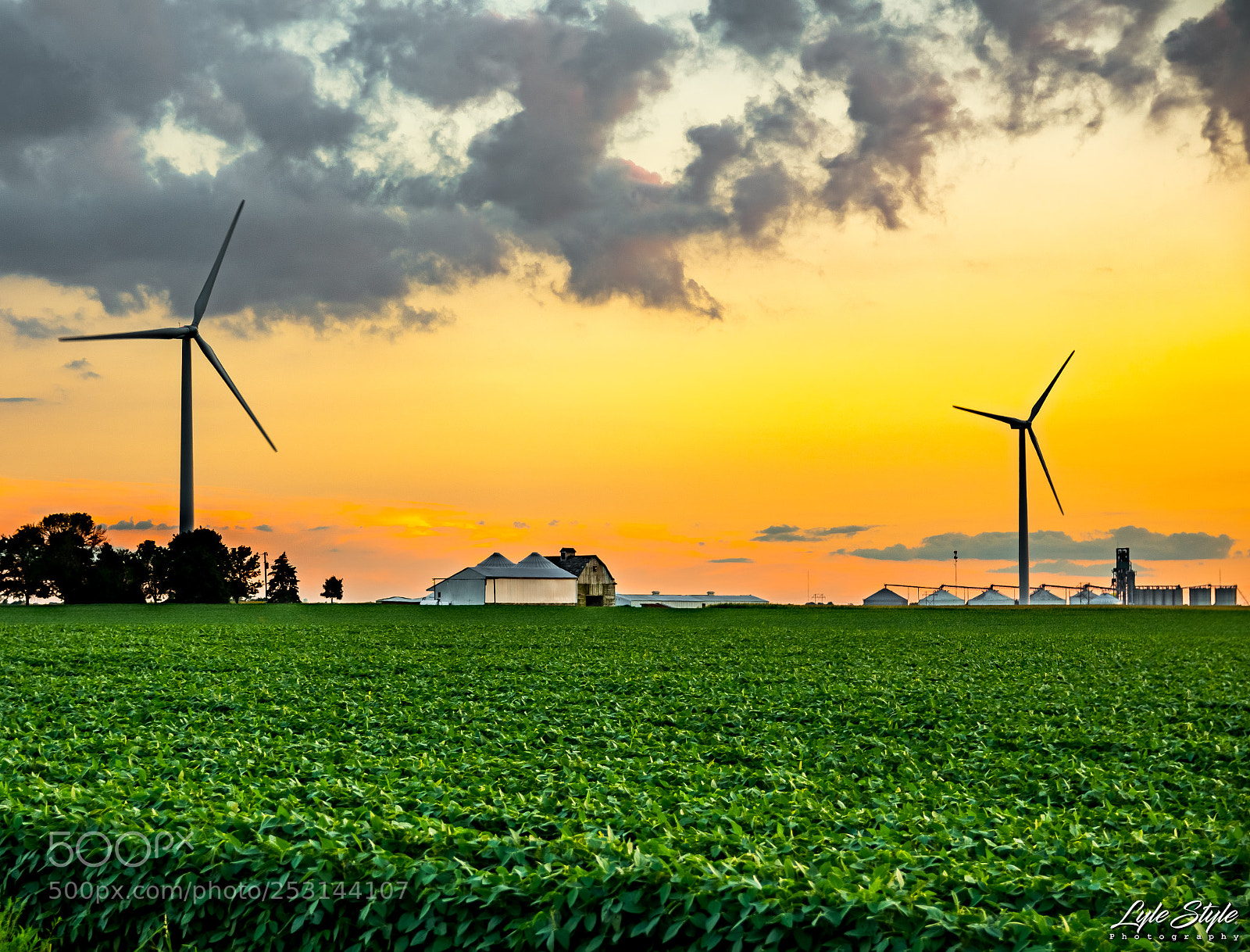 Nikon D7200 sample photo. Wind farm morning photography