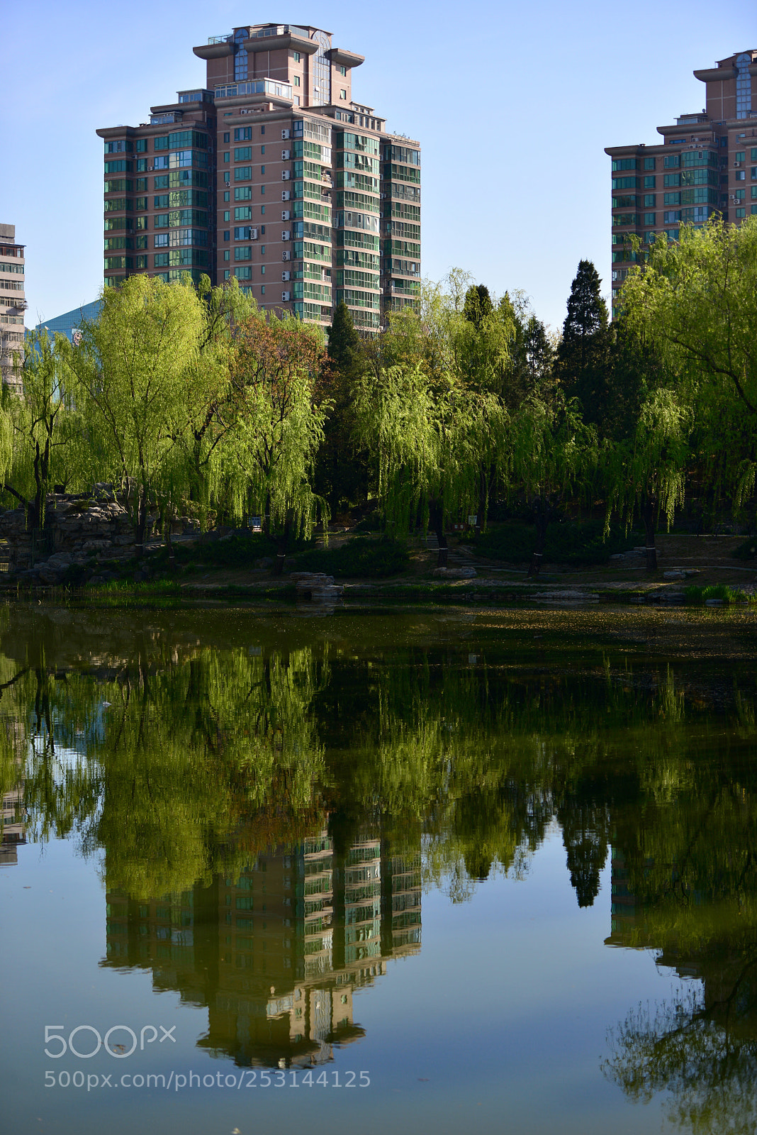 Nikon D800 sample photo. 正、反之间 photography