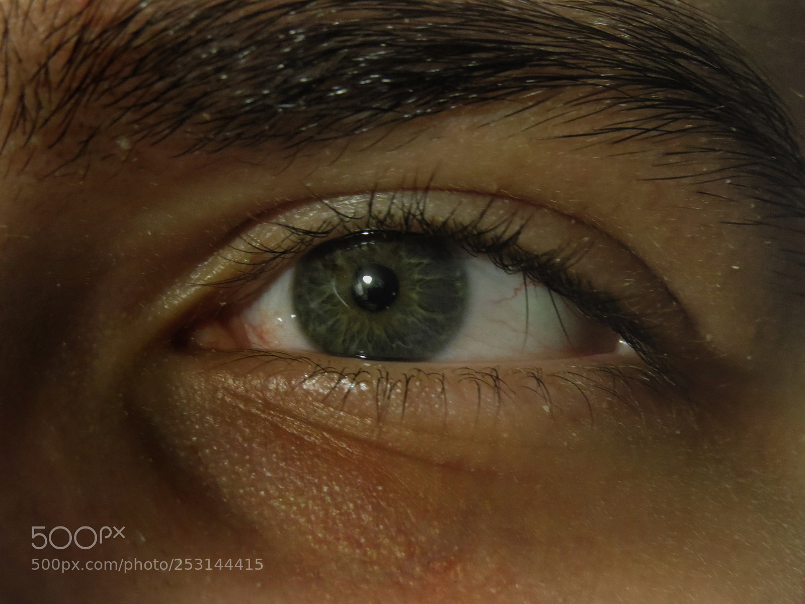 Canon PowerShot SX50 HS sample photo. Hazel eye photography