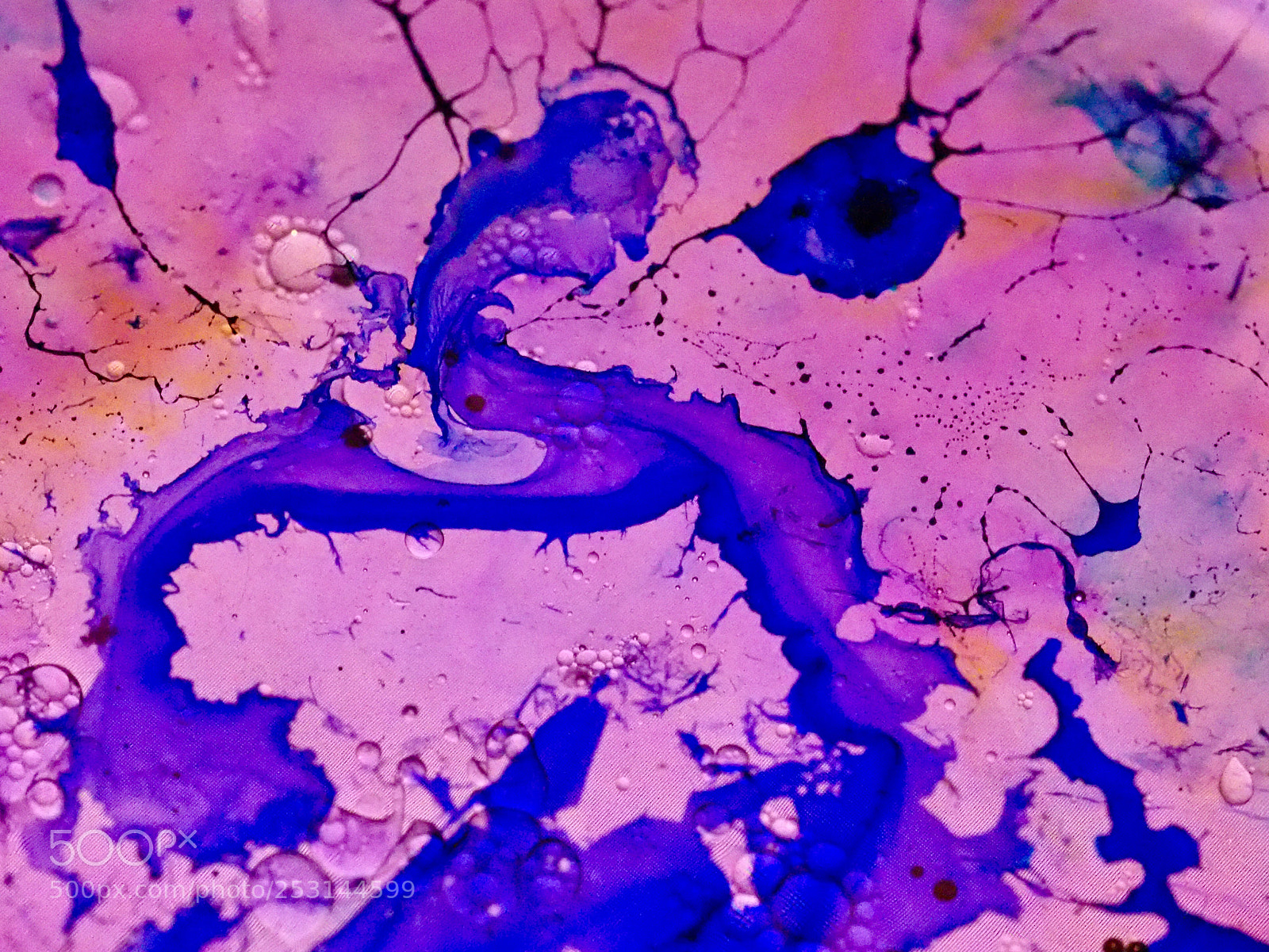 Olympus OM-D E-M1 sample photo. The art and science photography