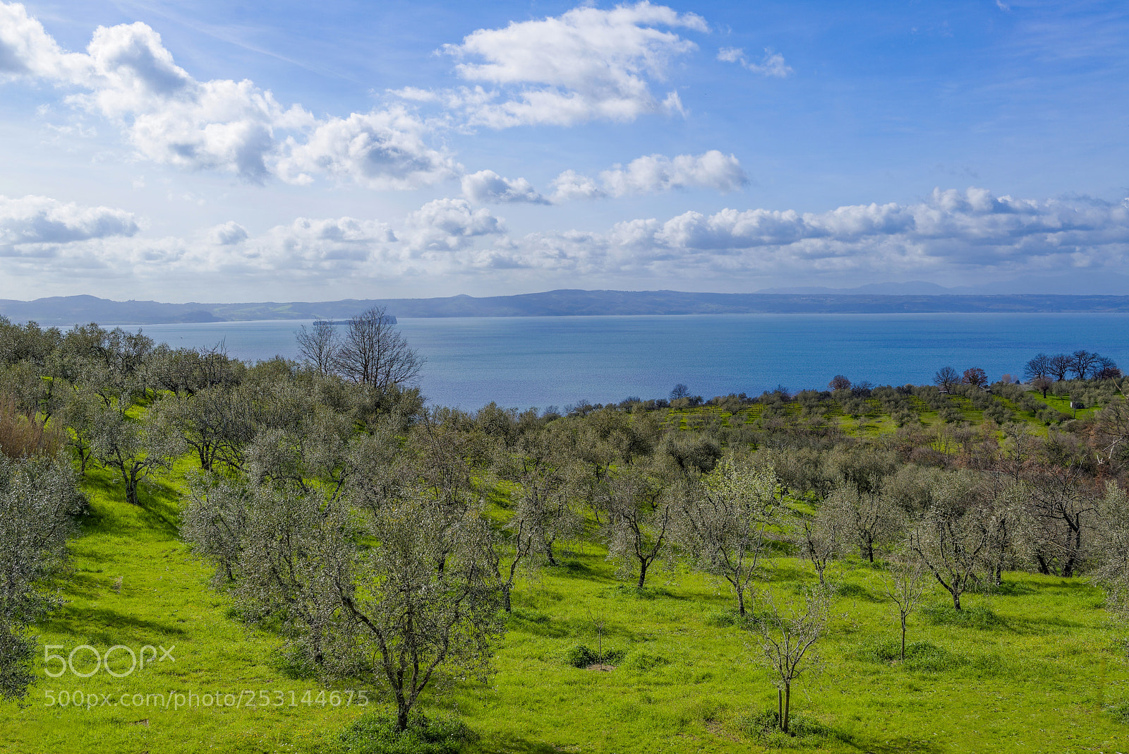 Nikon D800 sample photo. On the lakeside photography