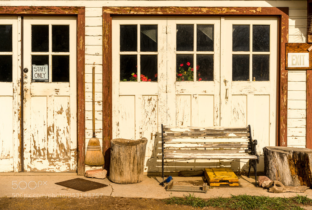 Sony a7 II sample photo. Staff only photography