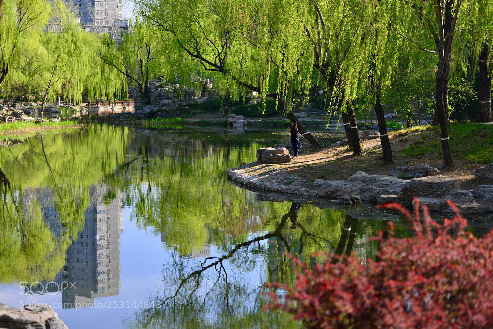 Nikon D800 sample photo. 升温 photography