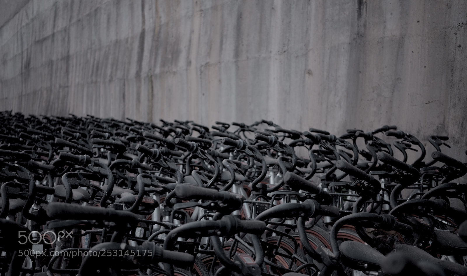 Sony a7 II sample photo. The end photography