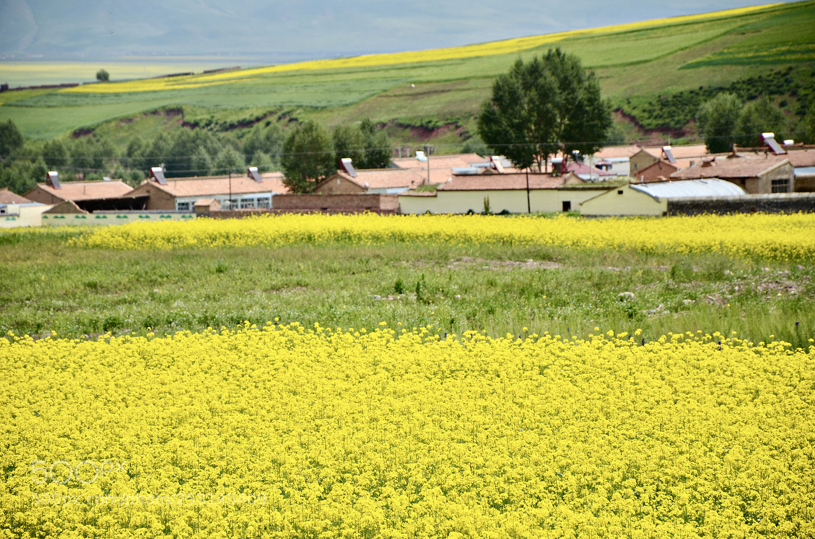 Nikon D7000 sample photo. Countryside photography