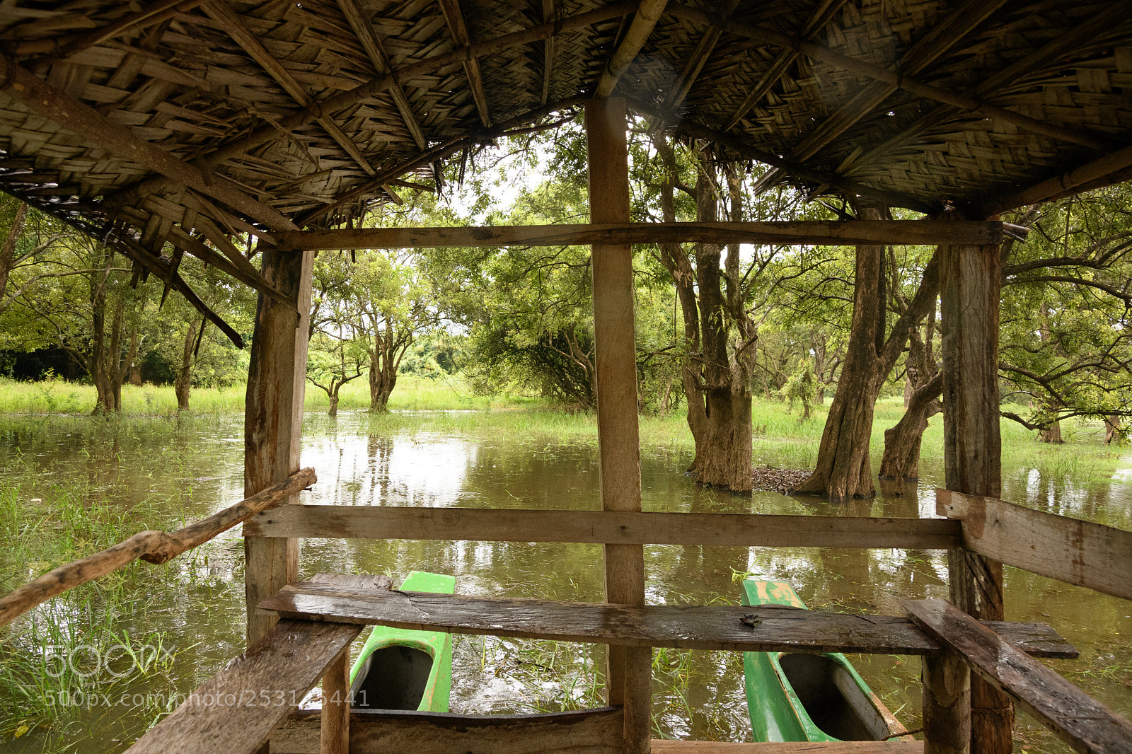 Nikon D7500 sample photo. On the lake photography