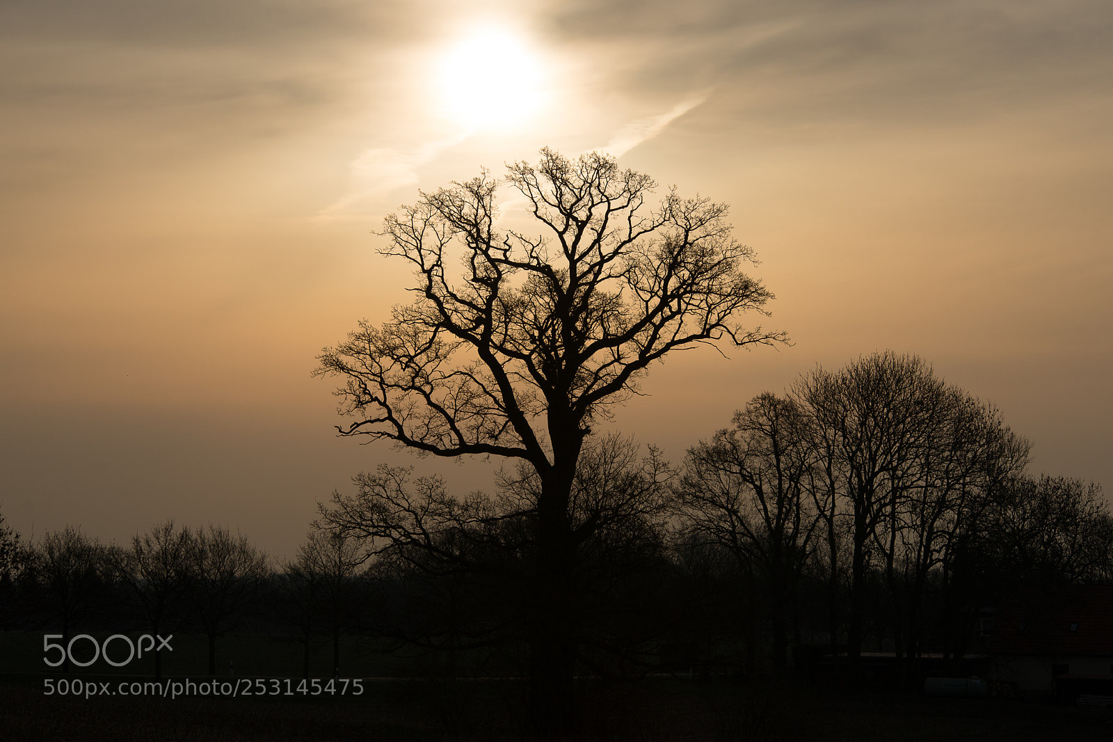 Sony SLT-A99V sample photo. Sunrise in the fairytale photography