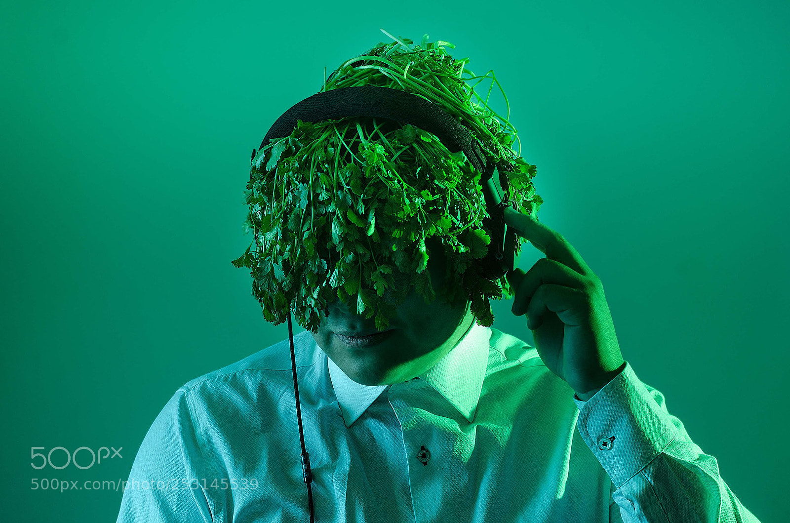 Nikon D7000 sample photo. Cabeza de cilantro photography