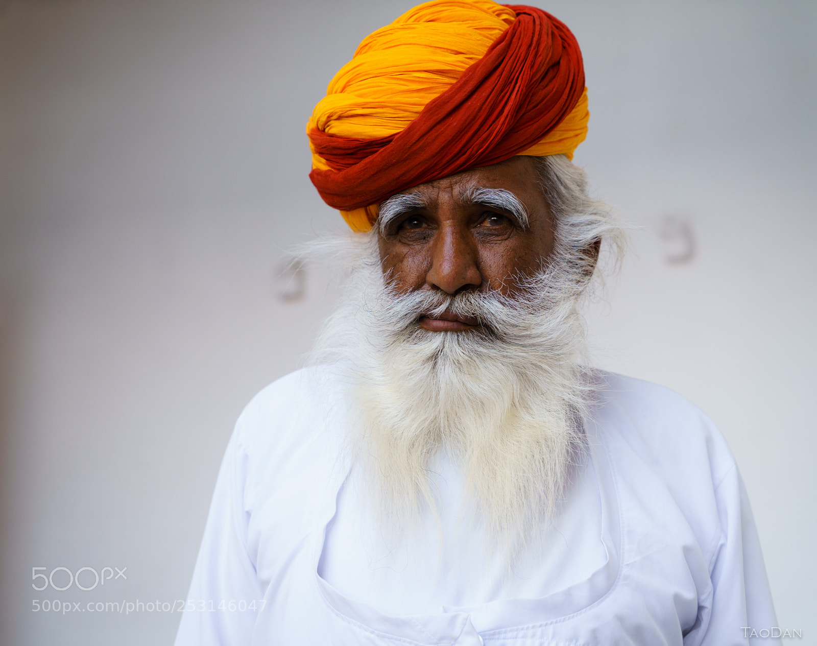Sony a7R III sample photo. Dsc photography