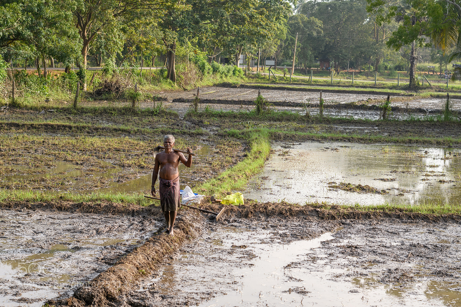 Nikon D7500 sample photo. Farmer photography