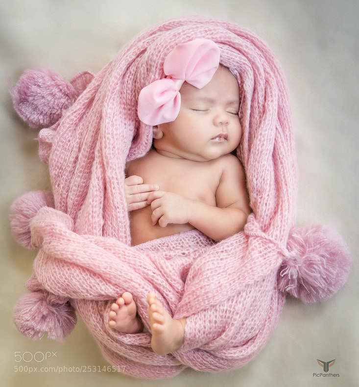 Nikon D810 sample photo. Untitled photography