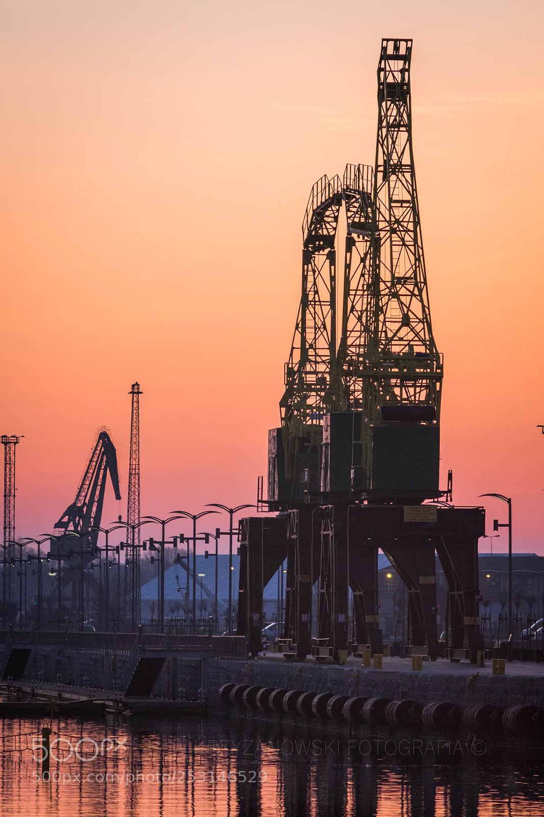 Fujifilm X-T10 sample photo. Sunrise cranes photography