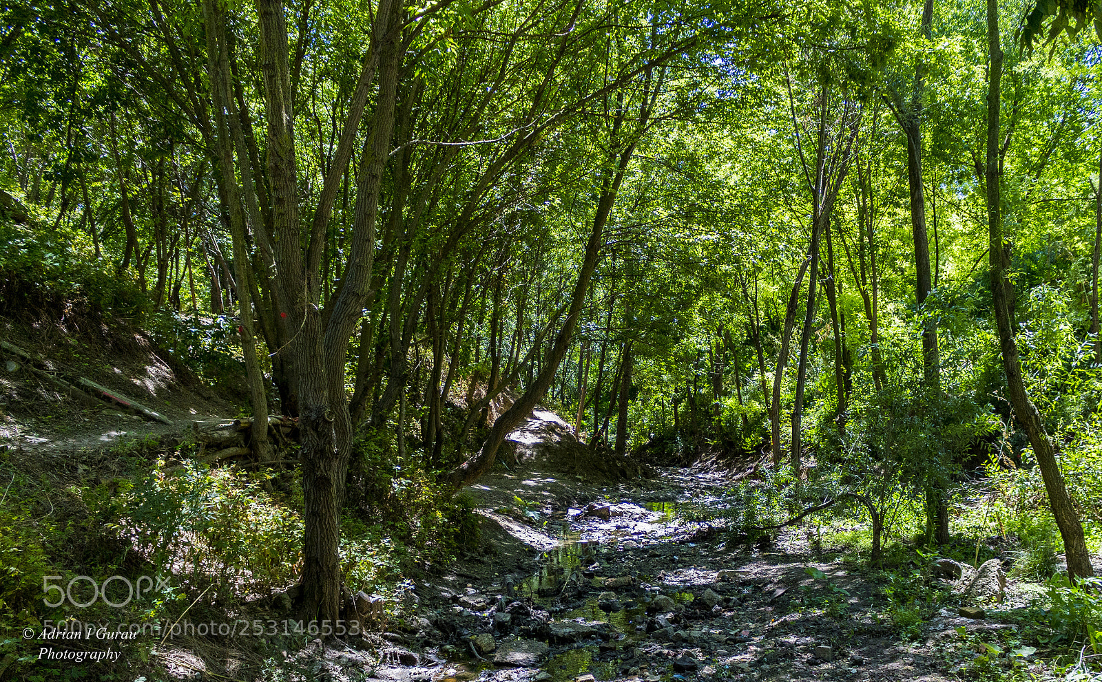 Canon EOS 700D (EOS Rebel T5i / EOS Kiss X7i) sample photo. Nature photography