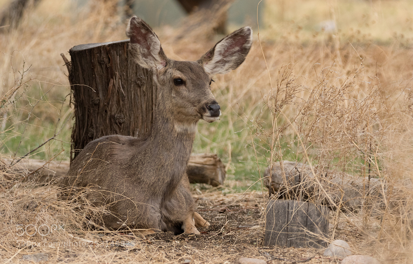 Canon EOS 7D Mark II sample photo. The calm in nature photography