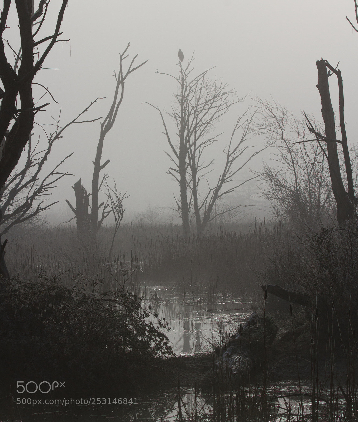 Canon EOS 7D sample photo. Early morning in the photography