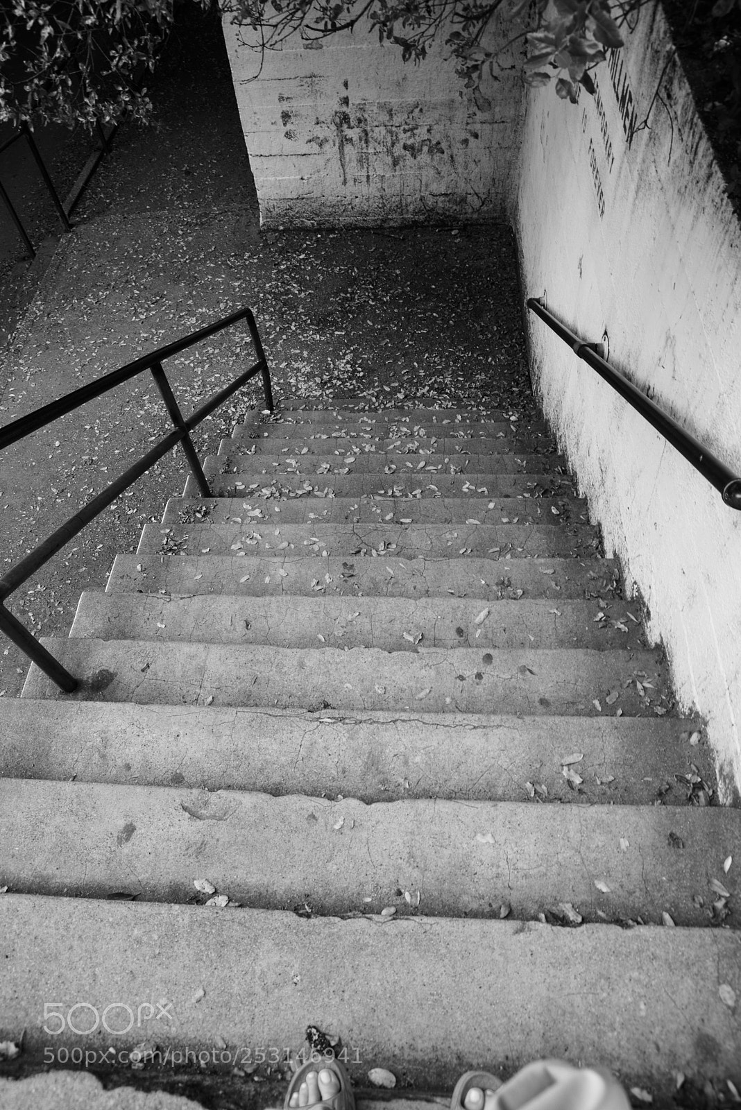 Nikon D600 sample photo. Stairs to where photography