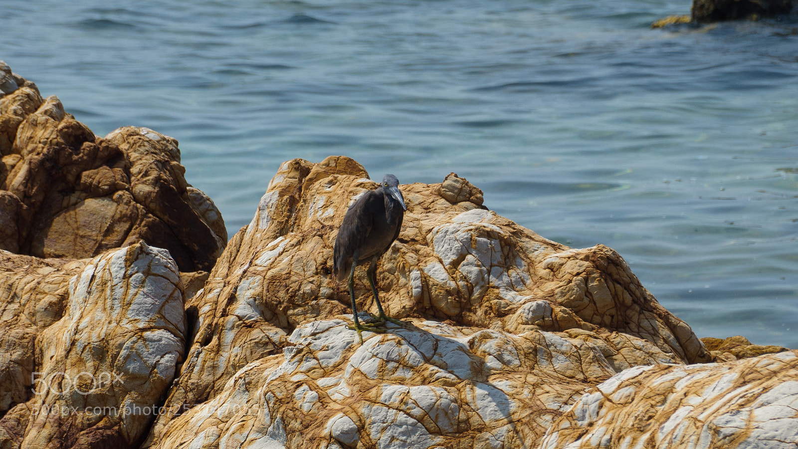 Nikon D5000 sample photo. Sad and lonely photography