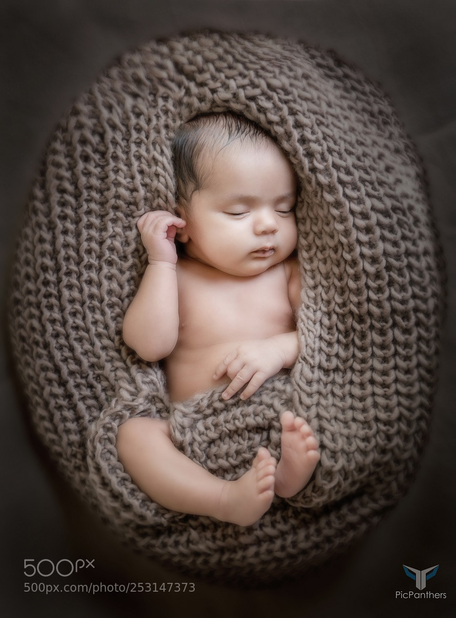 Nikon D810 sample photo. Untitled photography