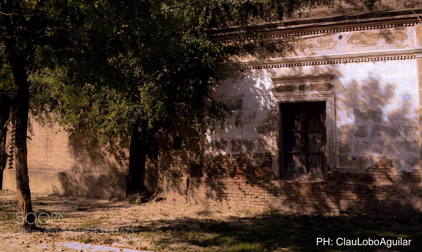 Nikon D5300 sample photo. Untitled photography
