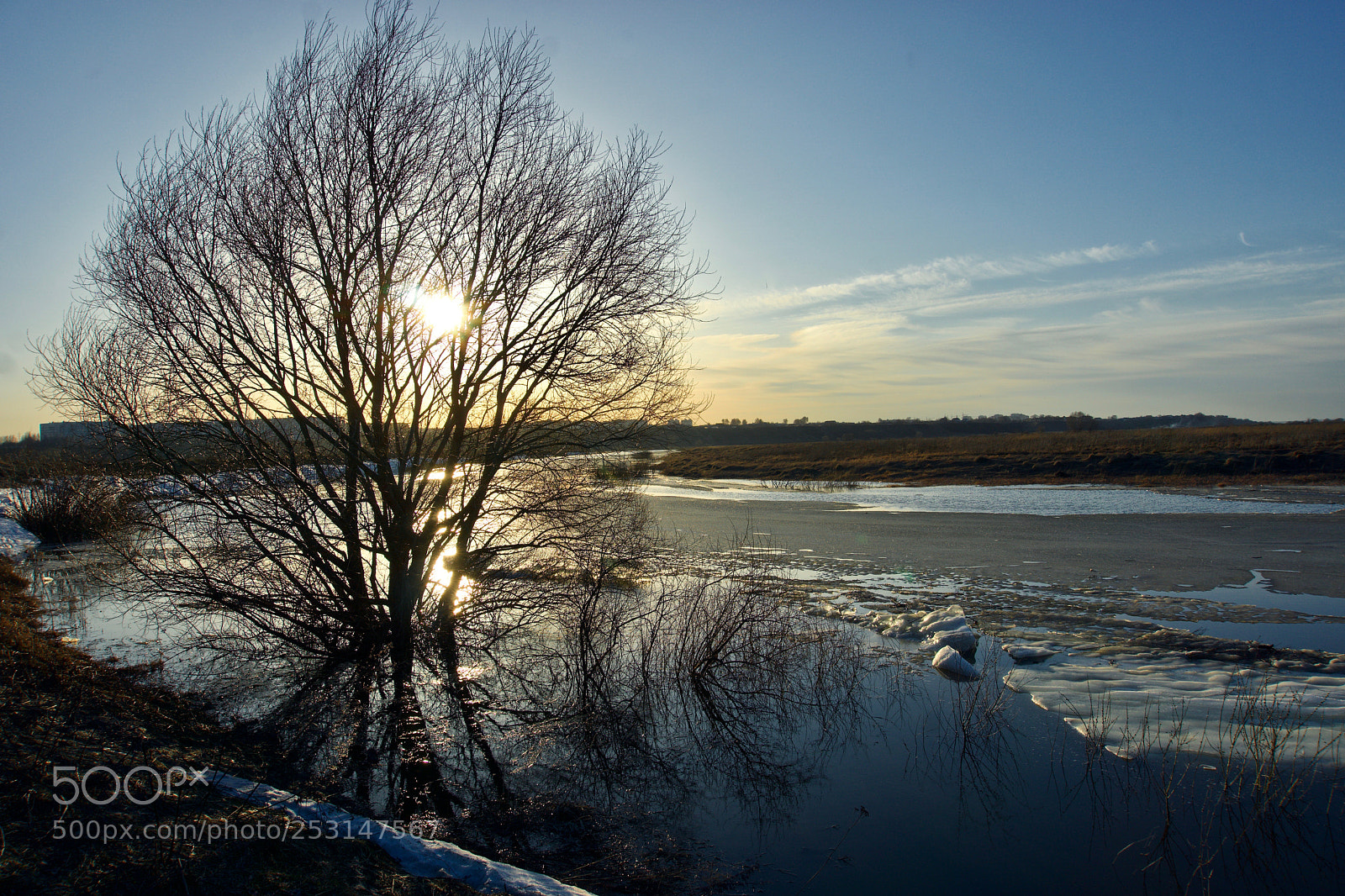 Sony a6000 sample photo. весна photography