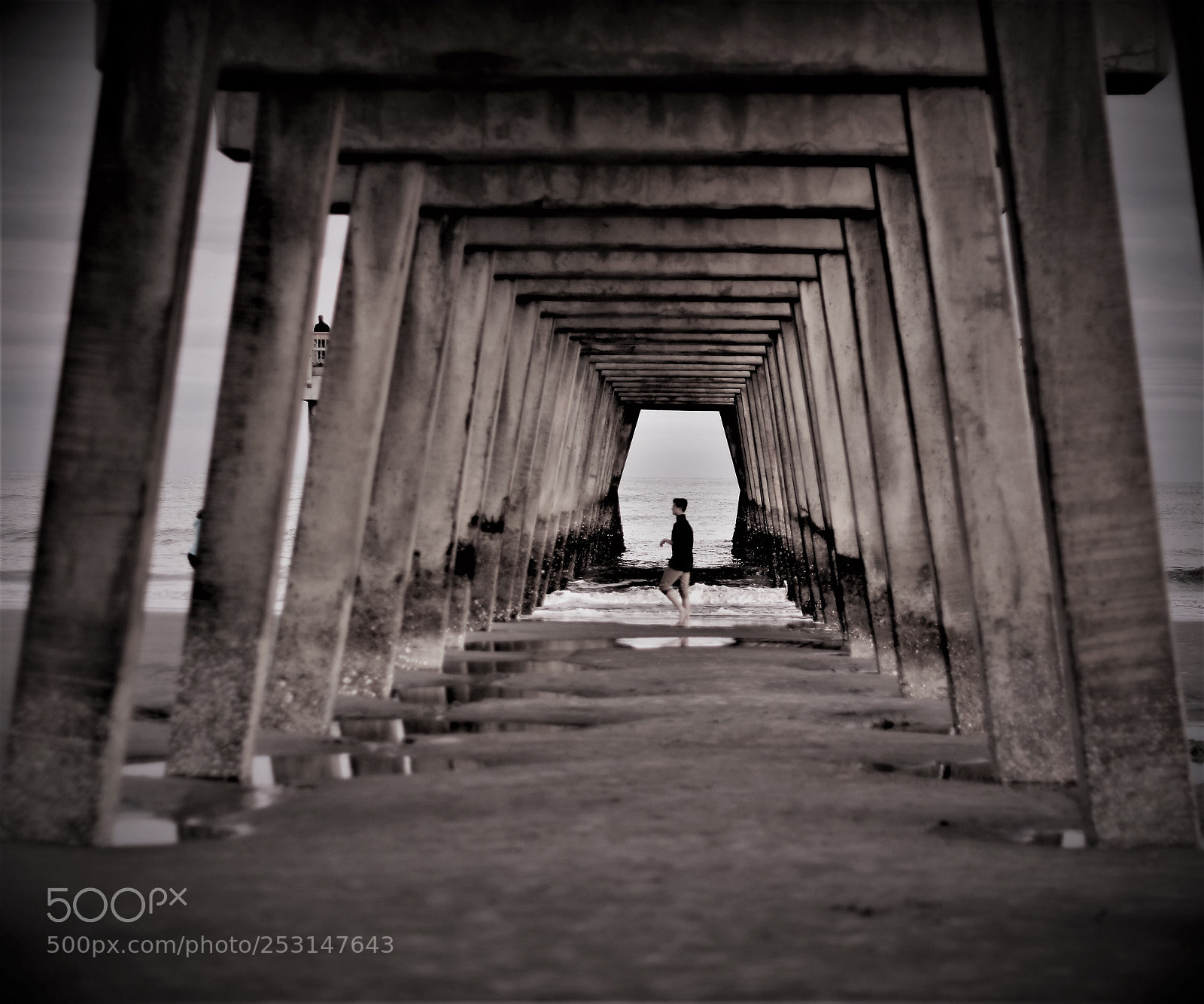 Nikon D7200 sample photo. Untitled photography