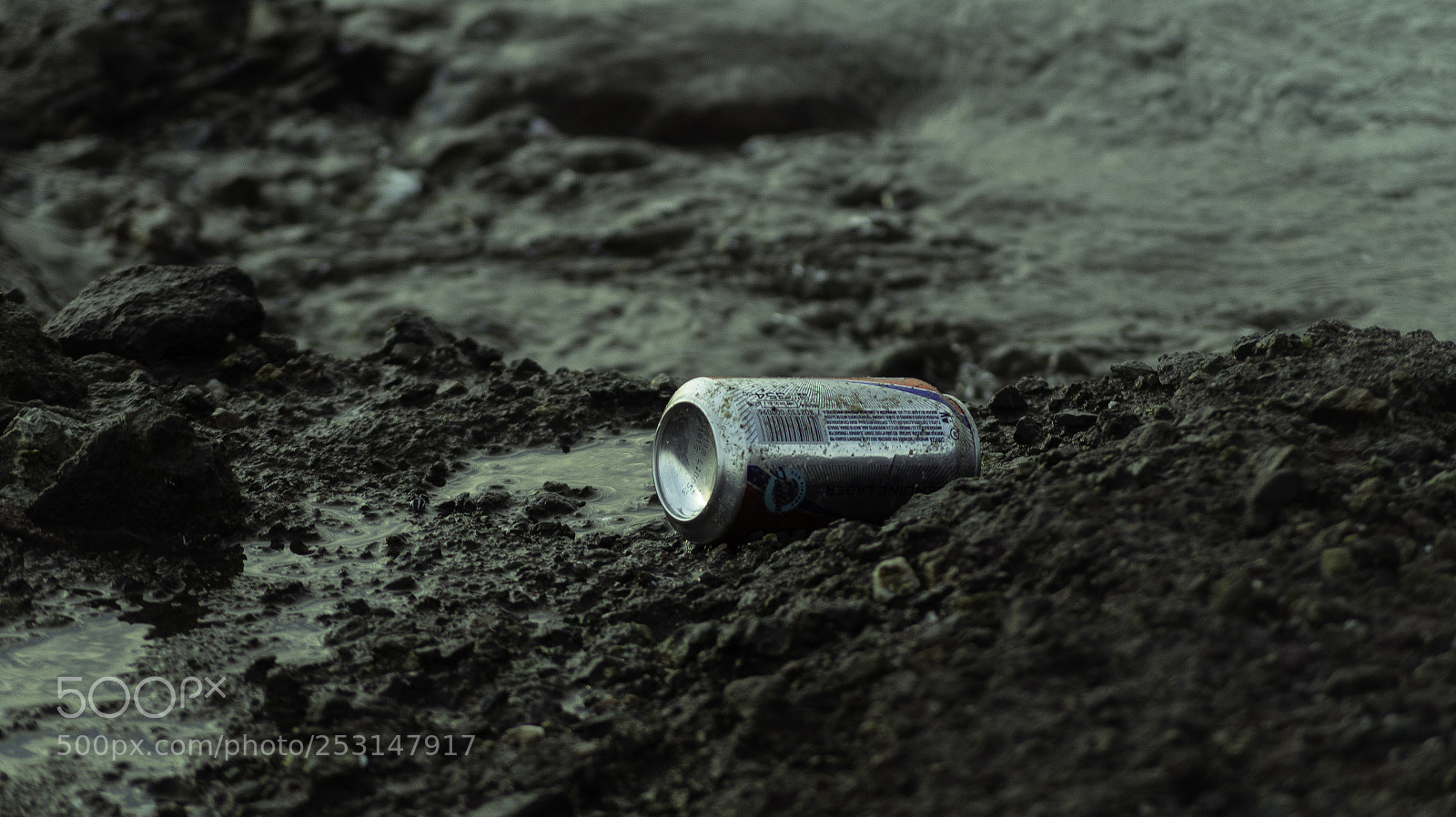 Sony SLT-A58 sample photo. Inmundo photography
