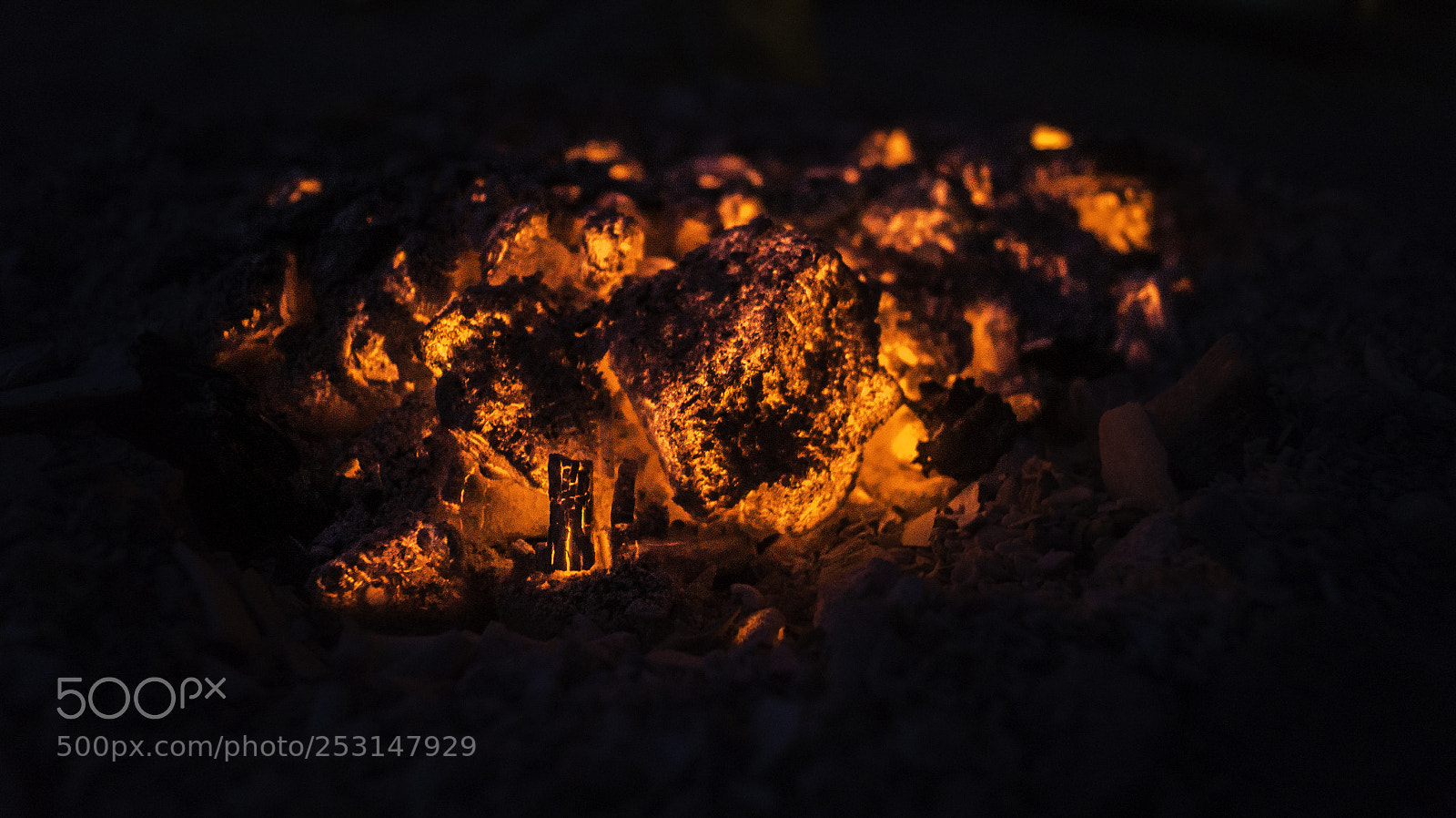 Sony SLT-A58 sample photo. Arde photography