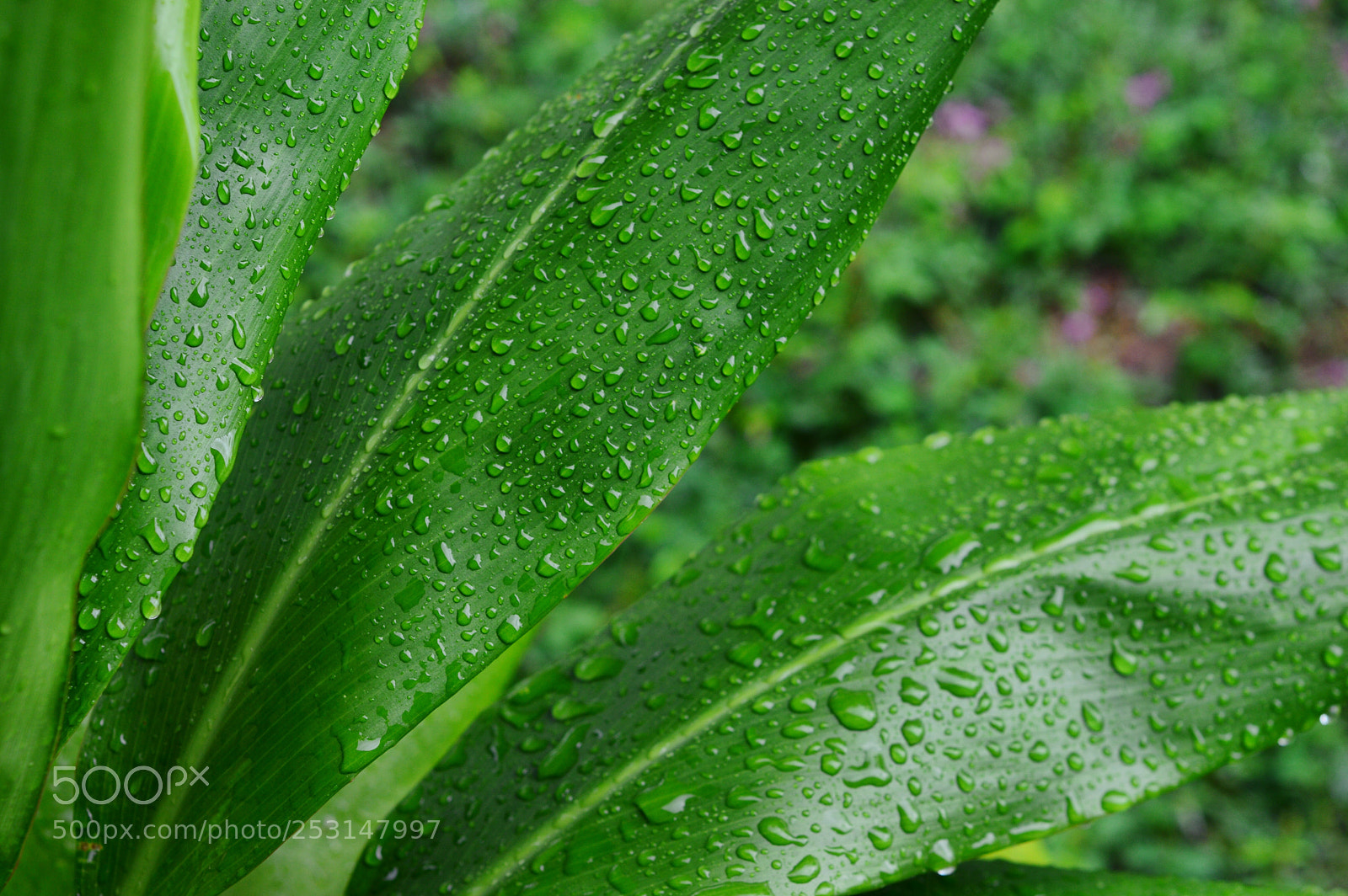 Nikon D3200 sample photo. Untitled photography